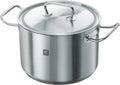 ZWILLING Garnek Stalowy z Pokrywką, 24 cm, 6 l, Kompatybilny z Indukcją